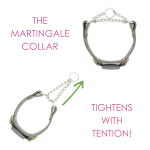 leather fi martingale w tabs