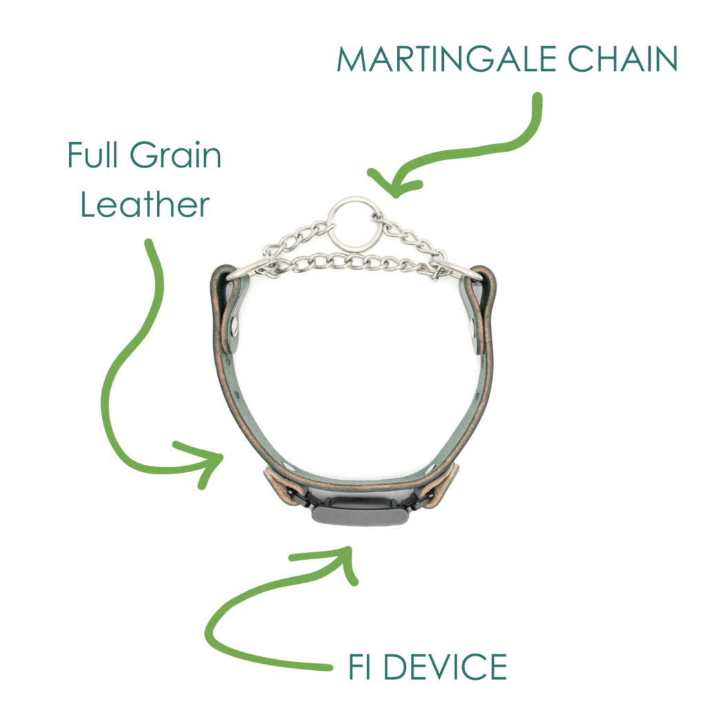 leather fi martingale w tabs (chart)