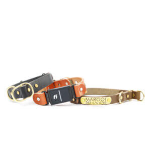 leather fi slip collars