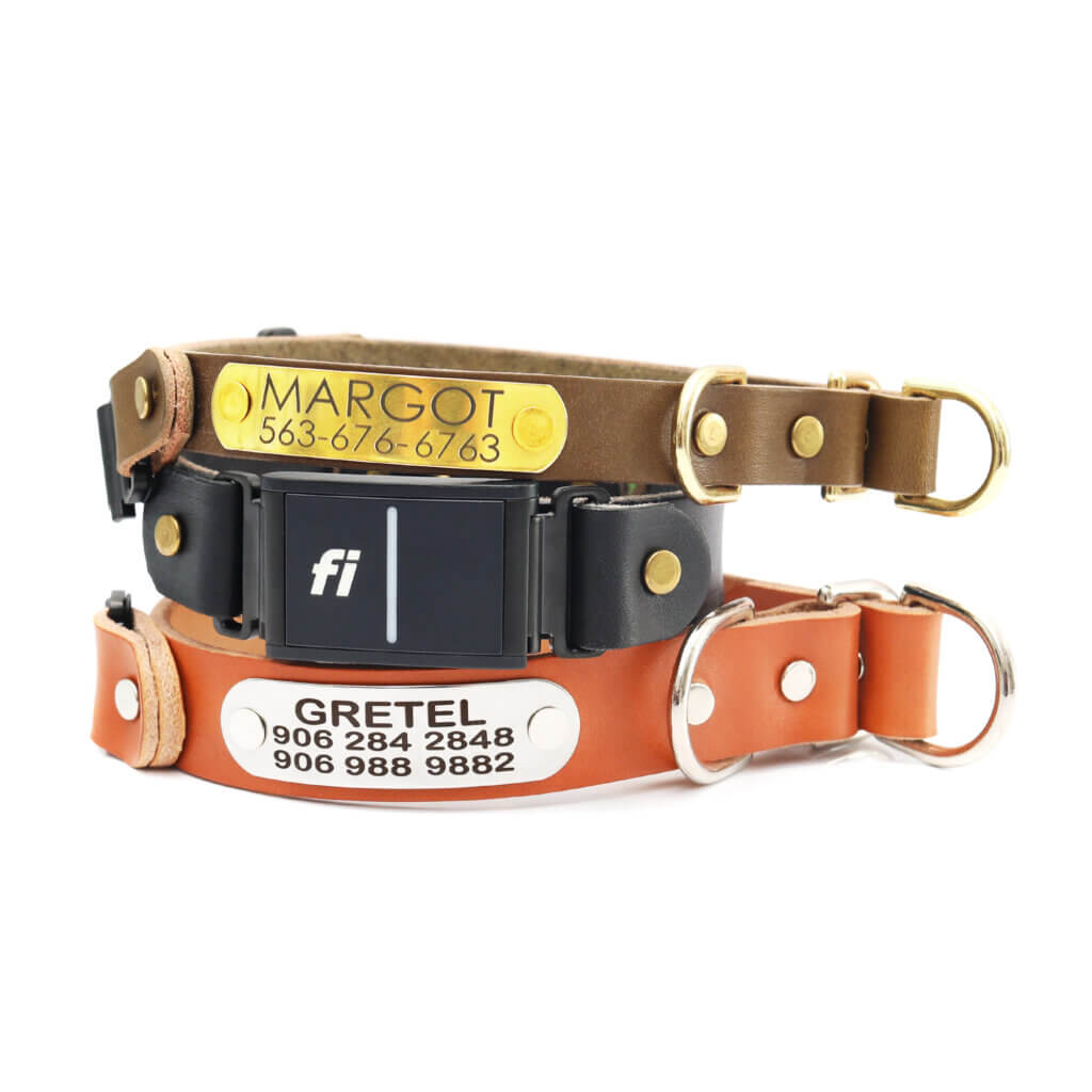 leather fi slip collars