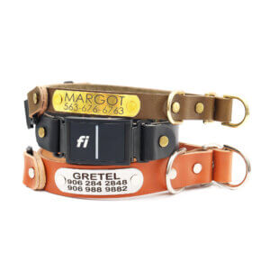leather fi slip collars