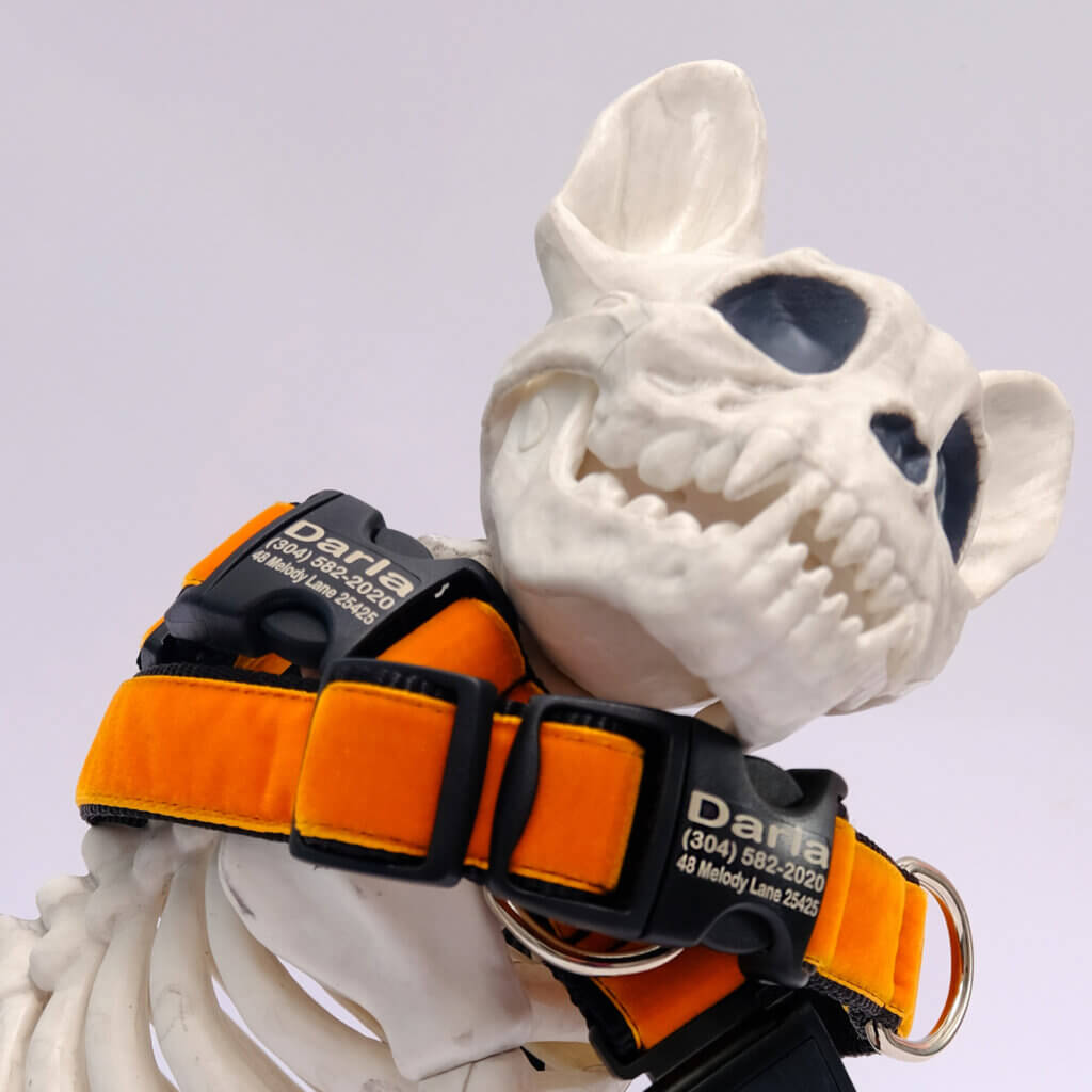 orange and black velvet halloween dog collar engraved