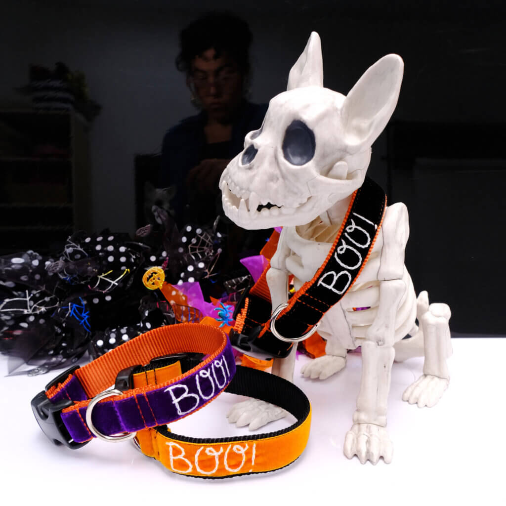 personalized halloween dog collar