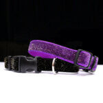 Halloween Glitter Velvet Dog Collar - Black or Purple