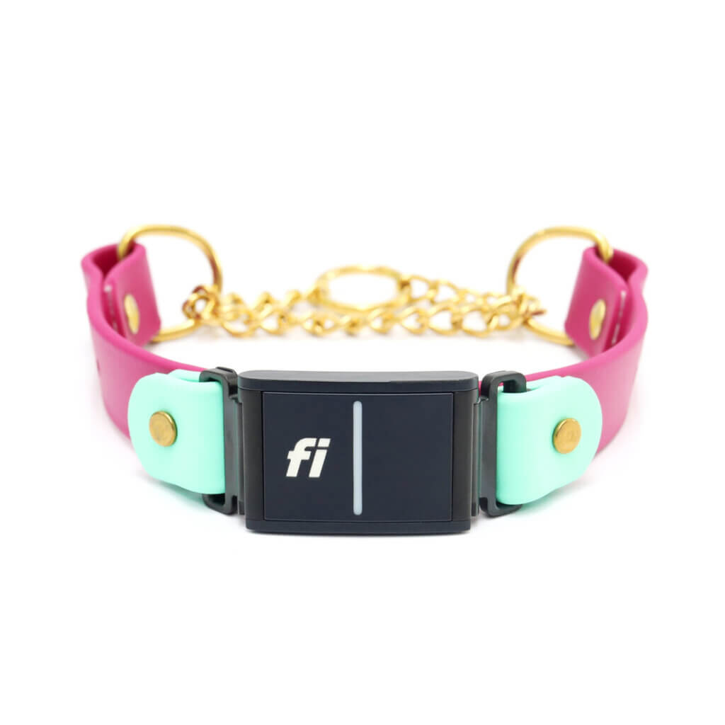 two tone waterproof fi martingales