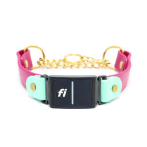 two tone waterproof fi martingales