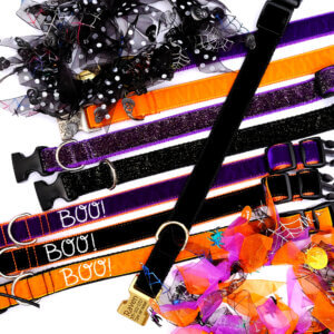 velvet dog collars halloween