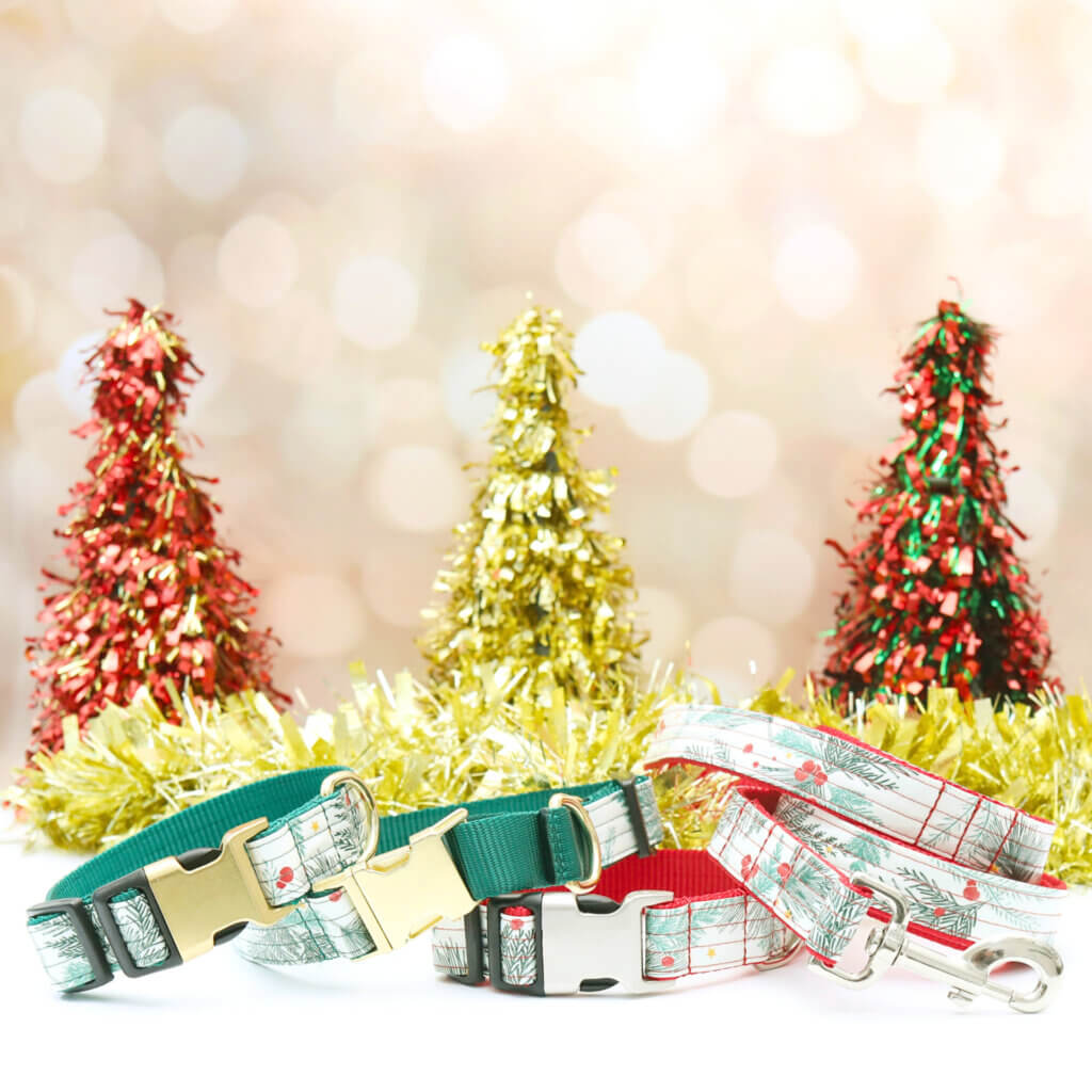 winter berry laminate collars and leashes