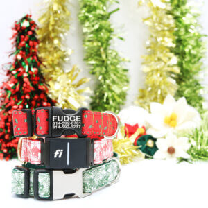 fi holiday collars and accessories