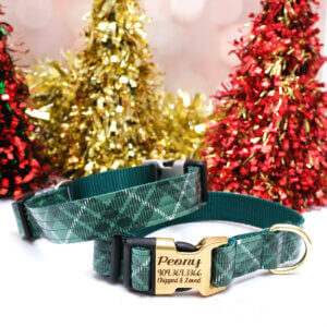 green plaid dog collar for holidays
