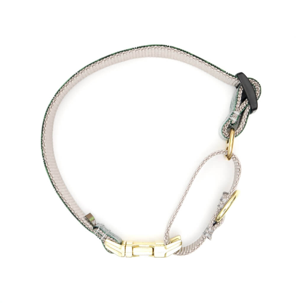 green tartan laminate buckle martingale collar