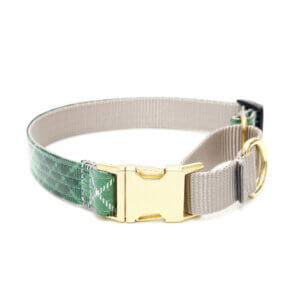 Designer dog collars for rottweilers shop