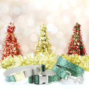 green tartan laminate collars and leash 6