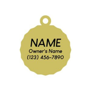 only child size dog ID tag