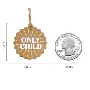 only child size dog ID tag