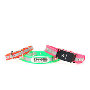 reflective fi belt buckle collars