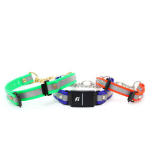 reflective fi martingales w tabs