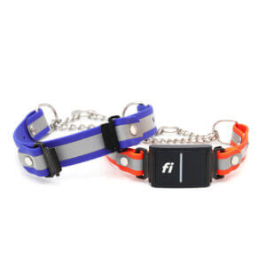 reflective fi martingales w tabs