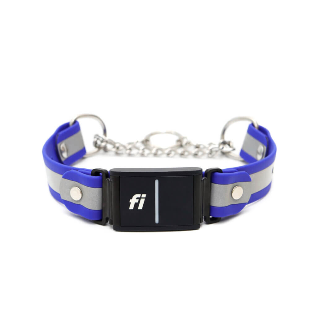 reflective fi martingales w tabs