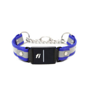 reflective fi martingales w tabs