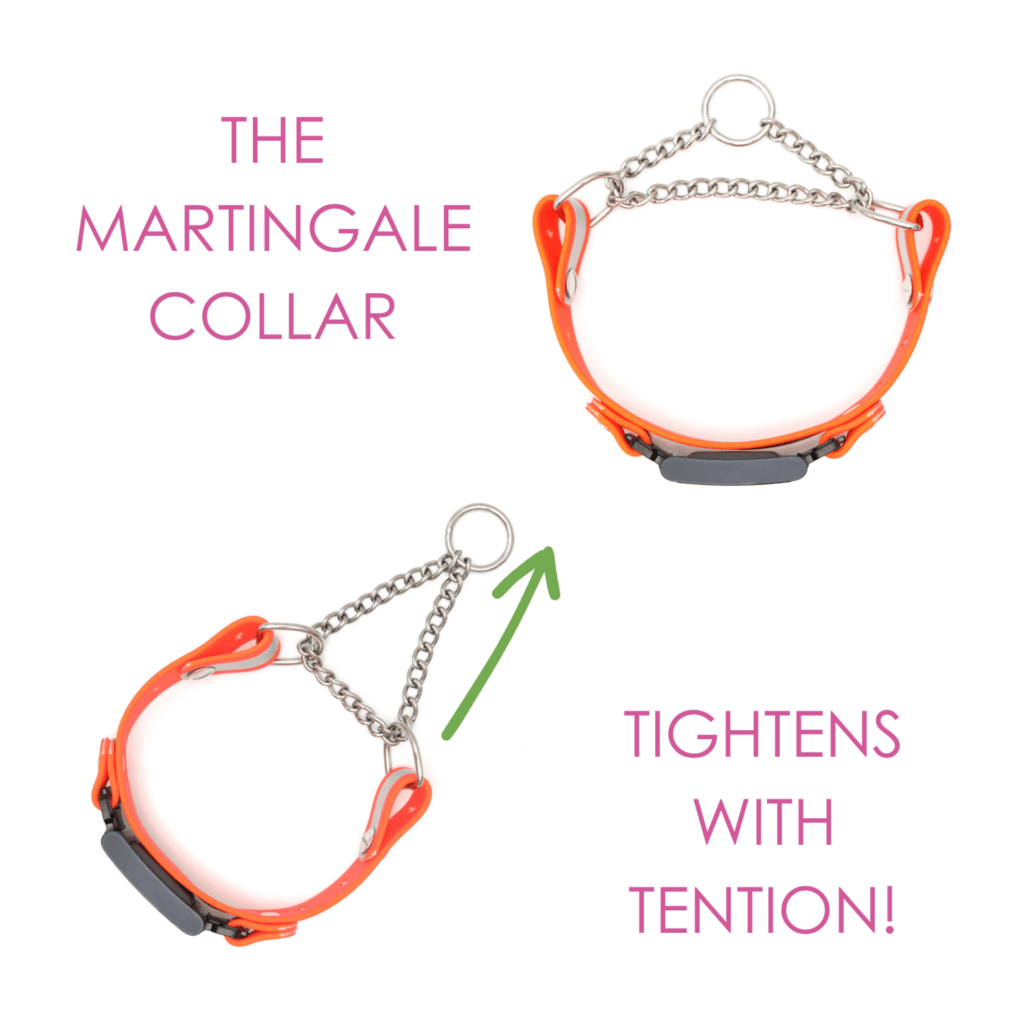 reflective fi martingales w tabs chart