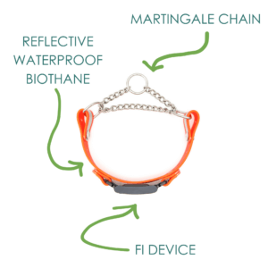 reflective fi martingales w tabs chart