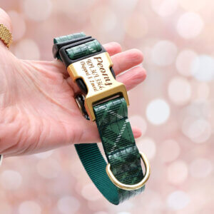 tartan plaid dog collar engraving