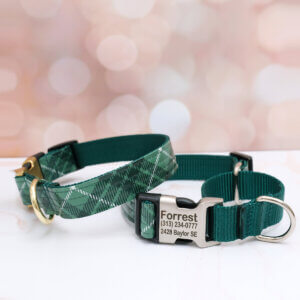 tartan plaid martingale dog collar green