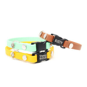waterproof cat collars w breakaway buckle