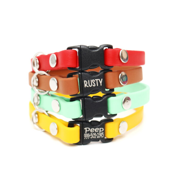 waterproof cat collars w breakaway buckle