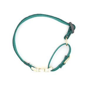 winter berry laminate buckle martingale collar