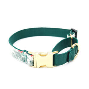 Rottweiler Dog Collars Best Collars for Rottweilers