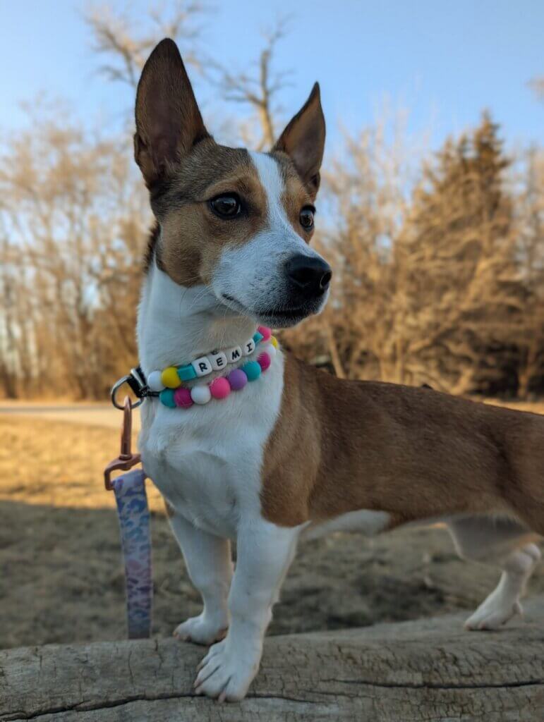 Image #2 from Andrea