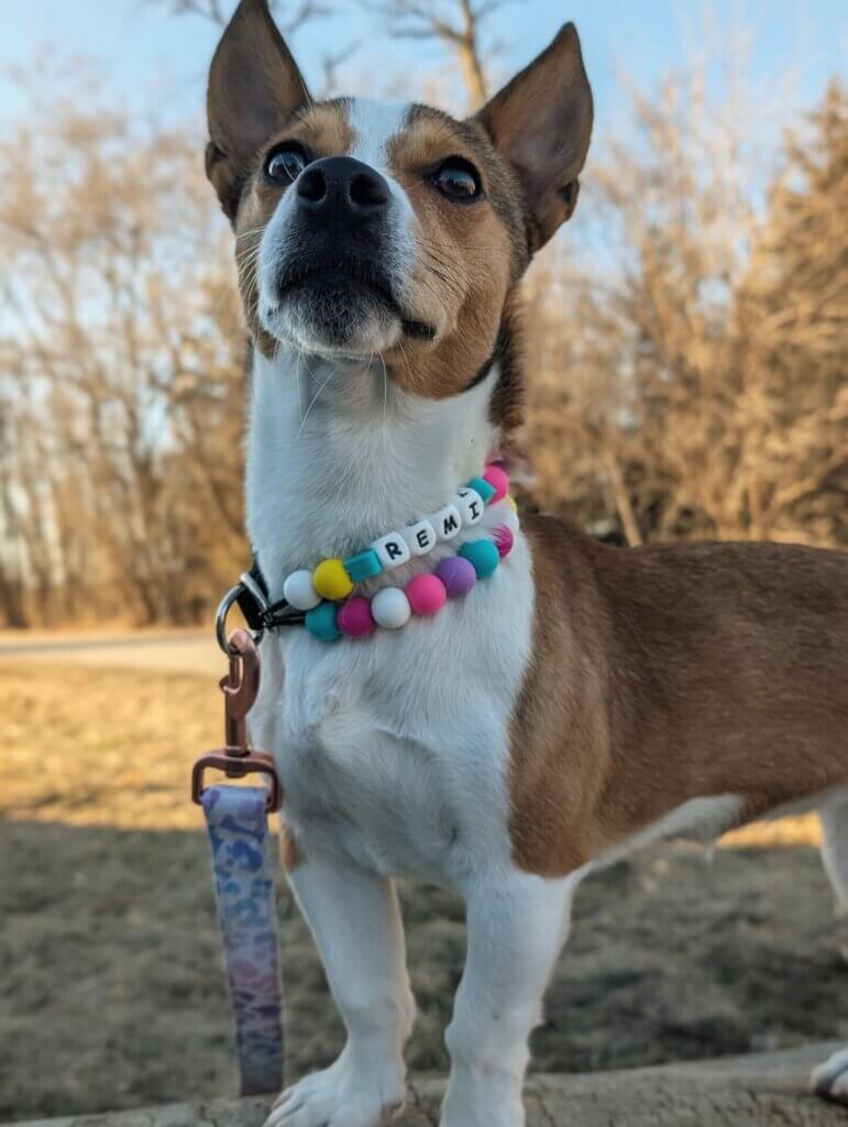 Image #5 from Andrea