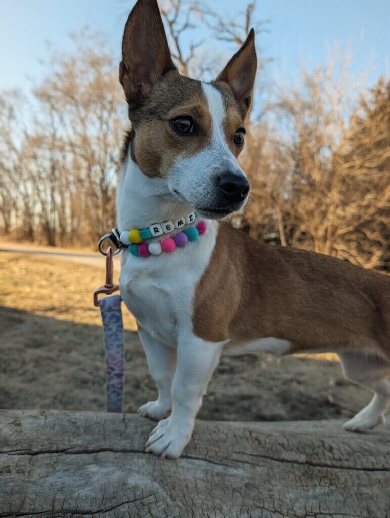 Image #4 from Andrea