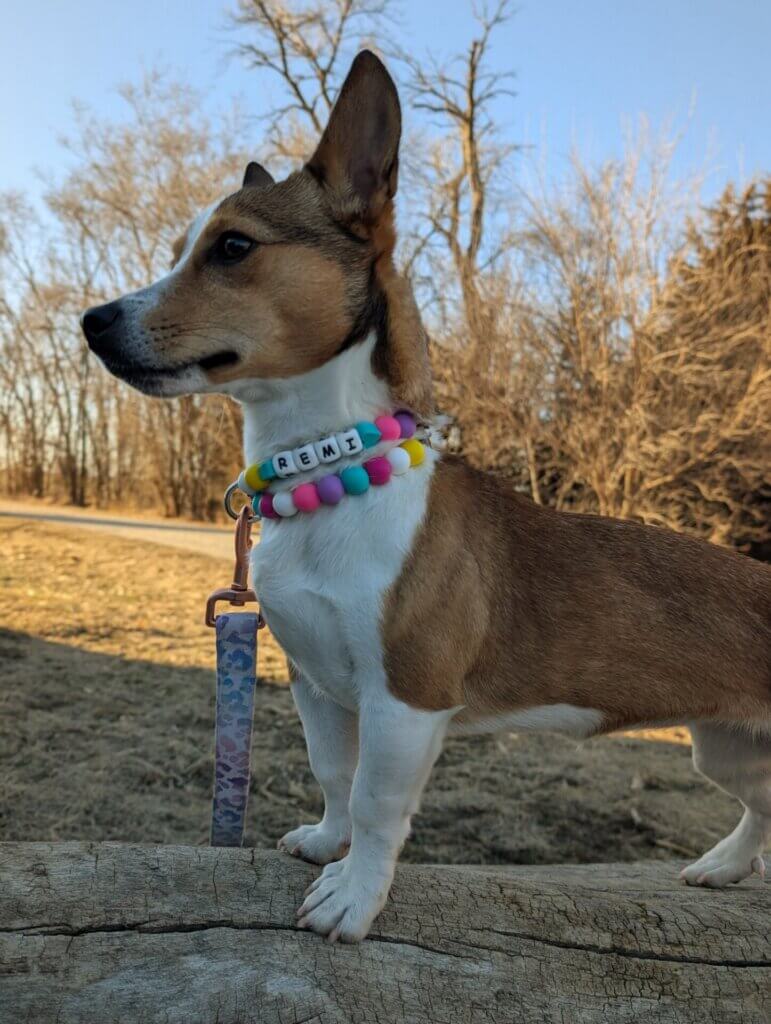 Image #3 from Andrea