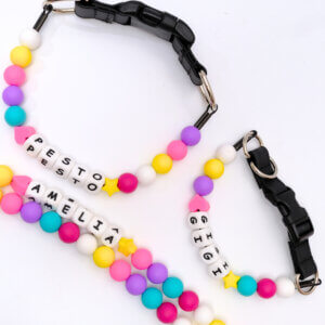 Friendship Collars Flat