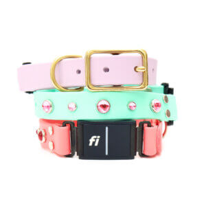 Dolly Fi Collar Waterproof Biothane Pink Studded Collar