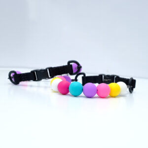 cat collar swiftie gift