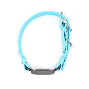 duke waterproof fi compatible studded belt buckle collar