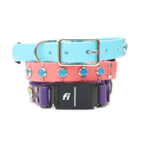 duke waterproof fi compatible studded belt buckle collar