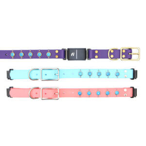 duke waterproof fi compatible studded belt buckle collar