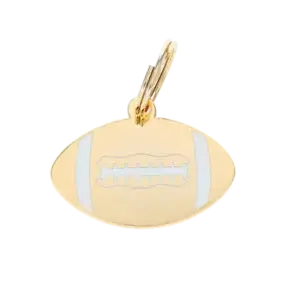 football dog id tag