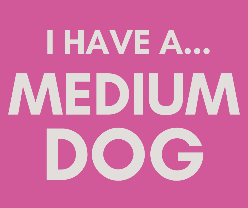Medium Dog Sizes