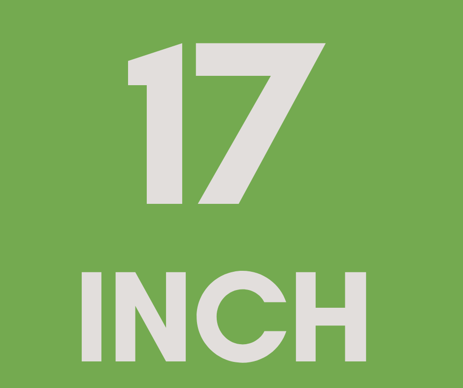 17""