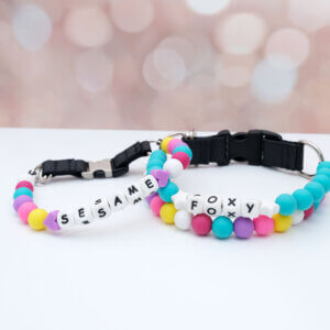 Dog Collar for swiftie dog collar beaded friendship collar for gift