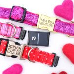 Fi Compatible Valentine's Dog Collars