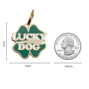 Lucky Dog ID TAG Size