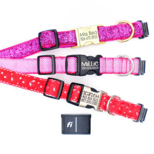 fi collar for valentines day