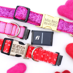 valentine fi dog collars
